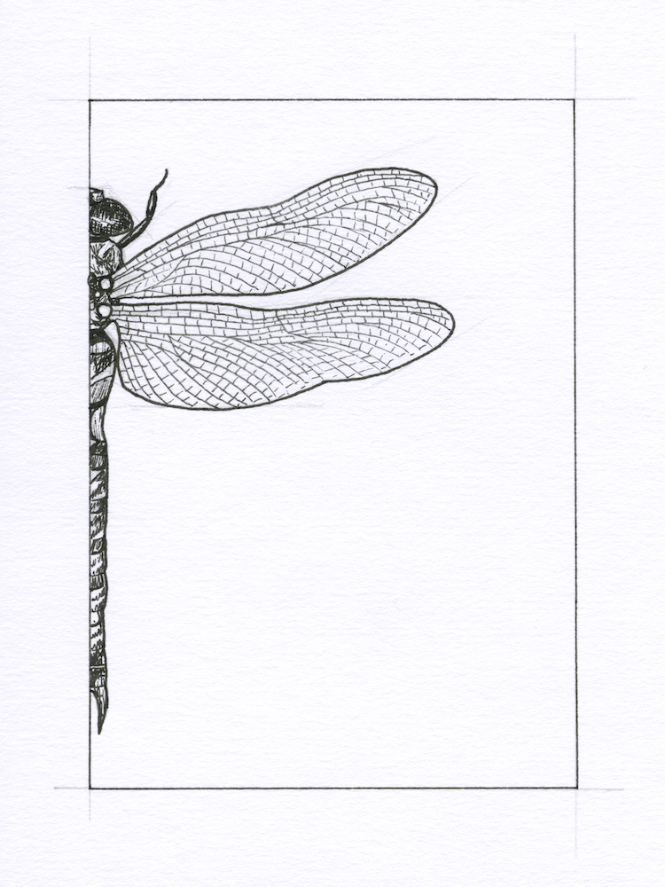 Dragonfly2