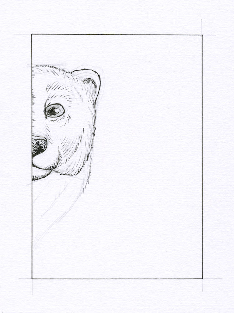 Polar Bear